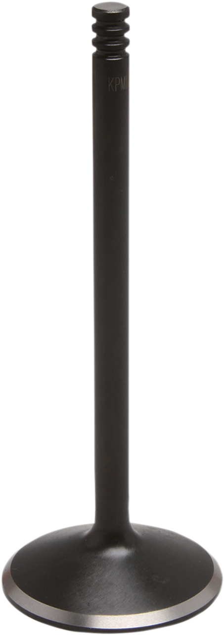Intake Valve