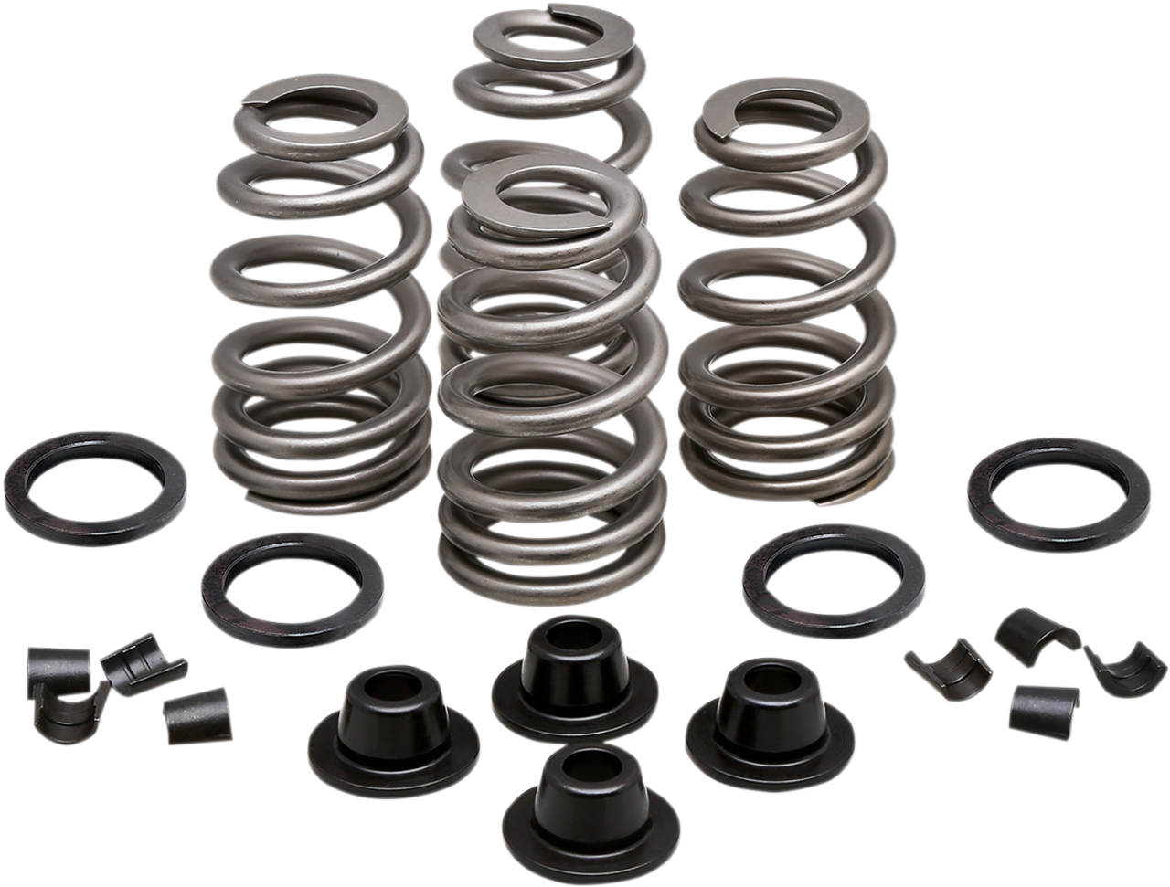 Spring Kit - .660" - Evolution/Twin Cam