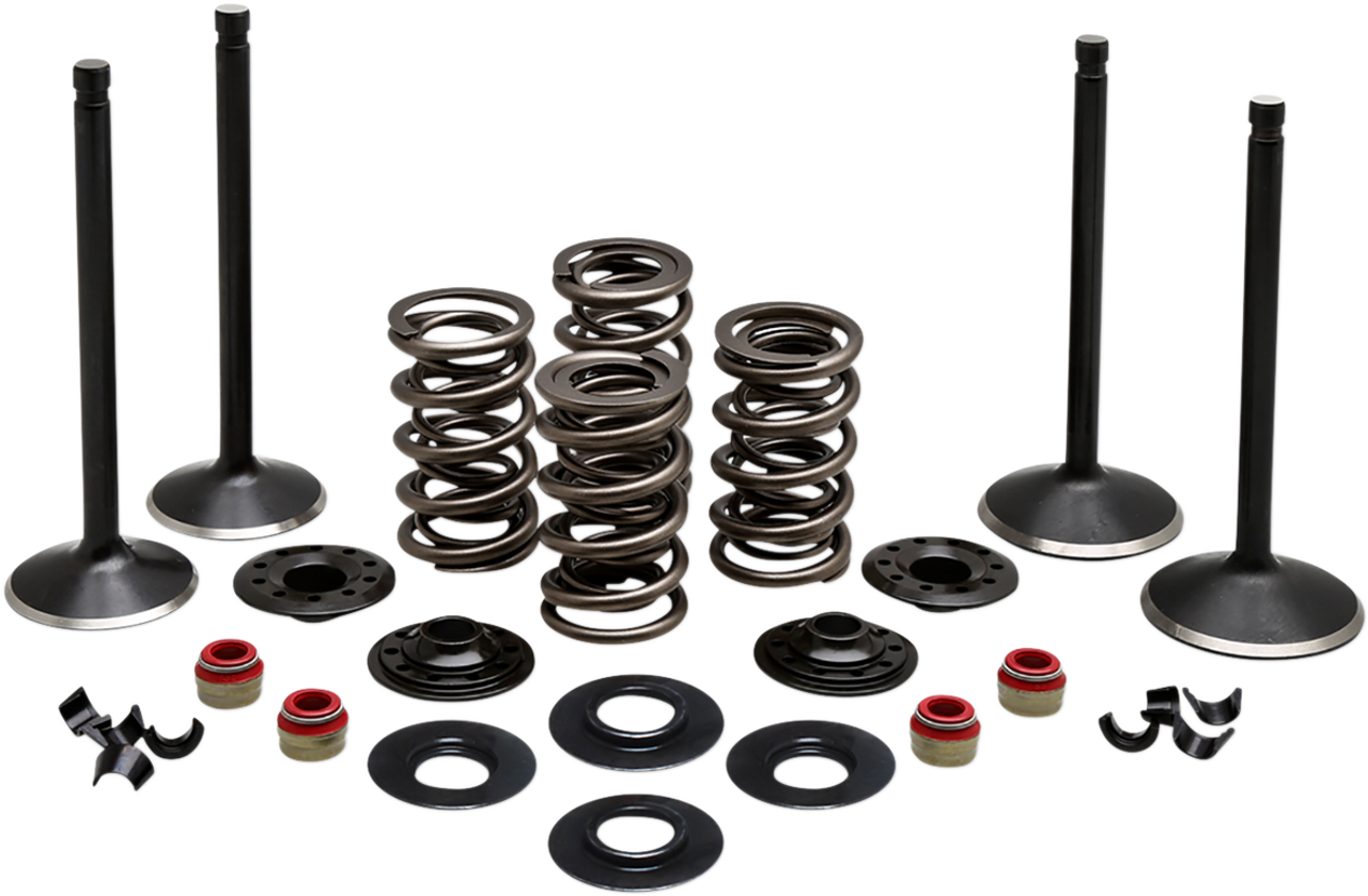 Complete Valve Kit - Twin Cam