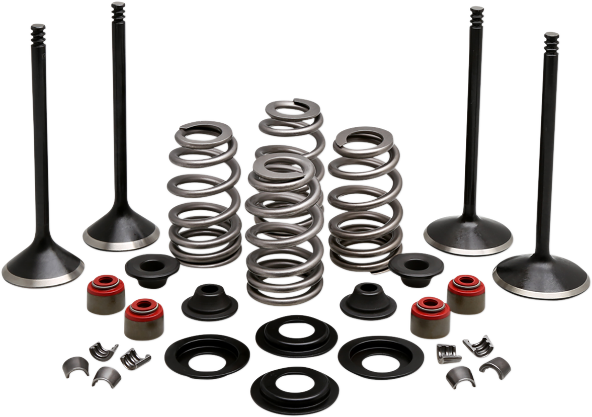 Complete Valve Kit - Evolution/1200