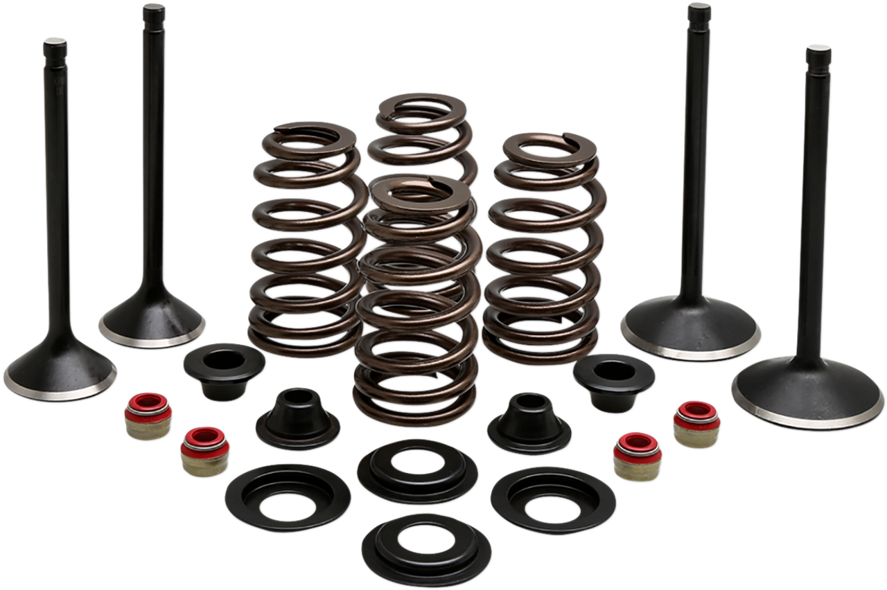 Complete Valve Kit - Evolution/1200