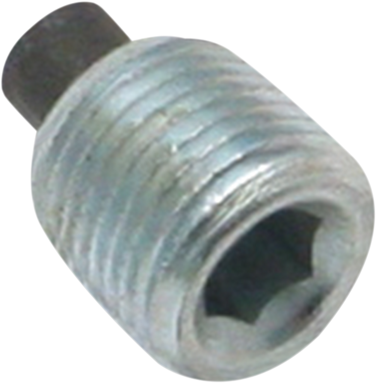 Magnetic Plug - 1/8" NPT