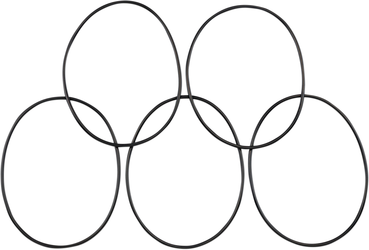 Derby Cover O-Ring