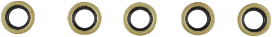 Starter Shaft Seal