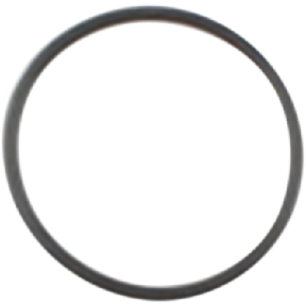 Cometic #C9201F1 - Starter Seal O-Ring - Twin Cam