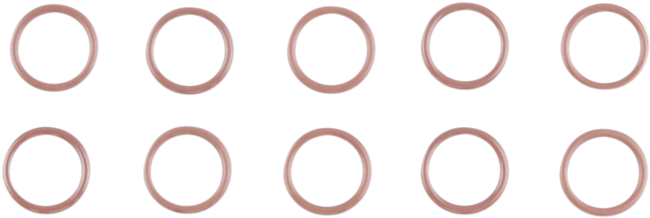 O-Ring