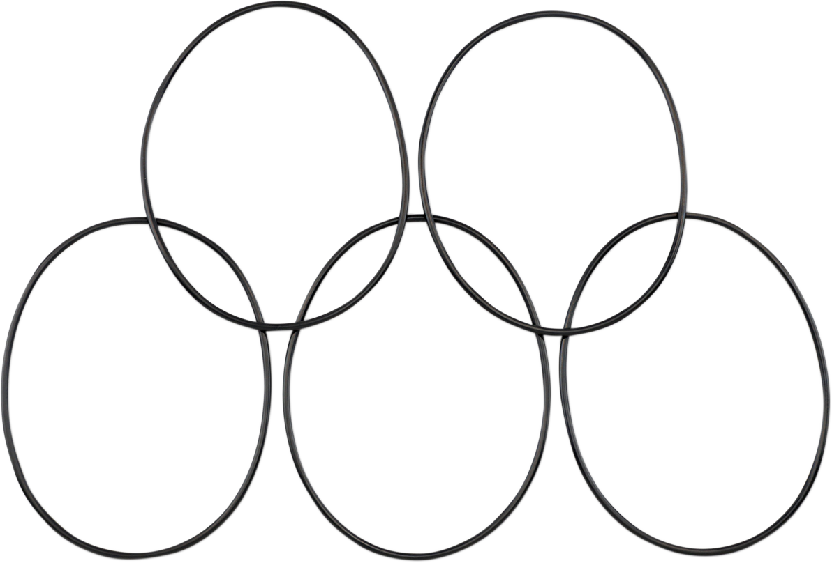 James Gasket #54122-14-VIC - Derby Cover O-Ring