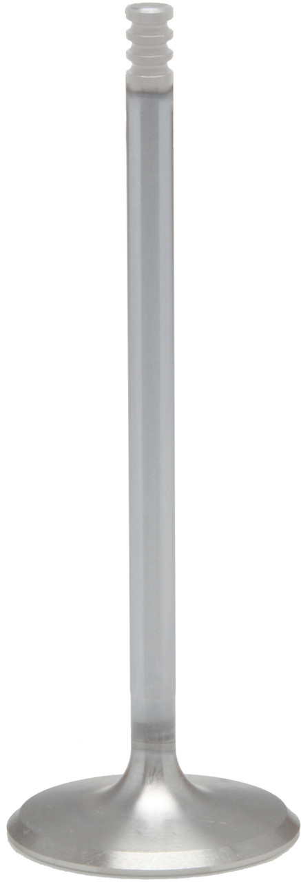 Kpmi #20-21061H - White Diamond Int. Valve 1.630 O/S M8 `17-24 Non Vvt