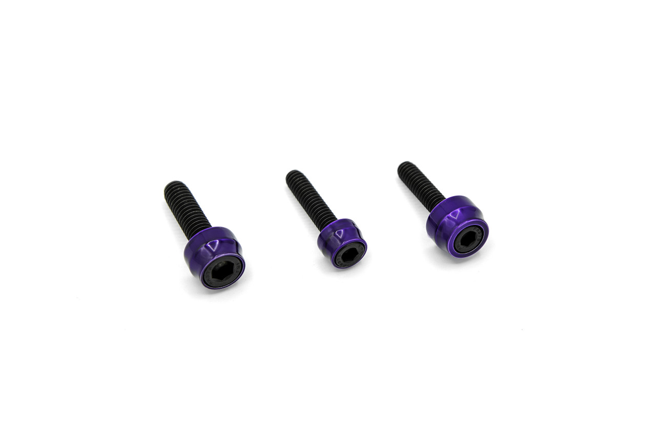 Santoro Fabworx #SF10025B - Chacho's Bolt Kit Purple M8 Eng Trans Prim Blk