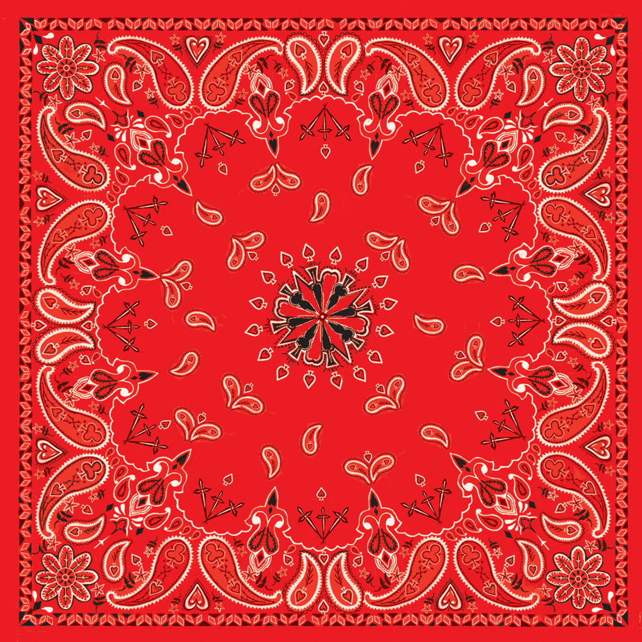 Zan #B003 - Bandanna Red Paisley