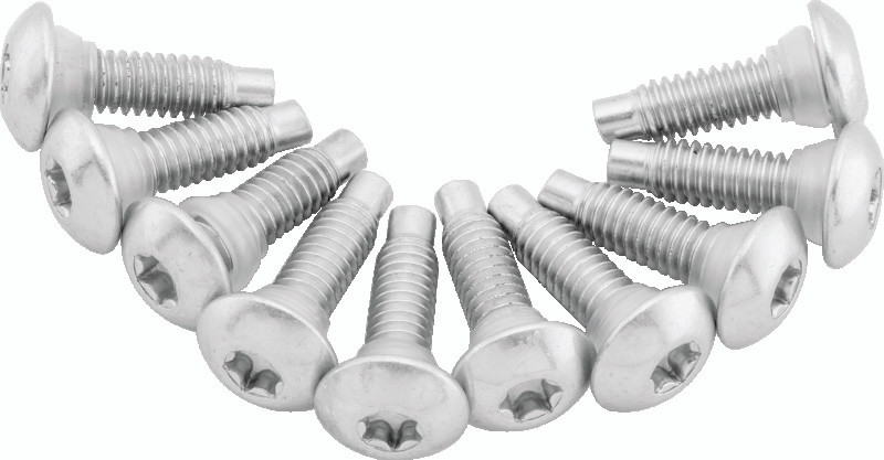 Twin Power 01-17 Softail Models 02-07 FLH FLHT Fuel Pump Plate Screw Kit Replaces H-D311D