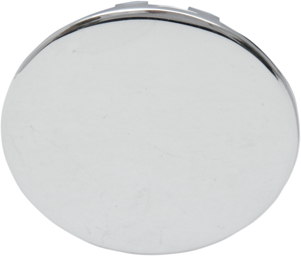 Swingarm  Pivot Shaft Cover