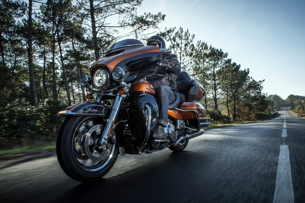 Tire - ScorcherÂ 31 - Front - 110/90B19 - 62H
