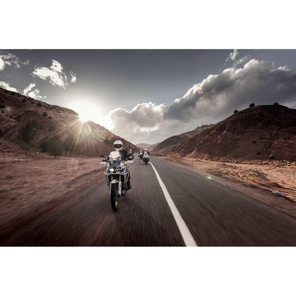 Bridgestone #8843 - Tire - Battlax Adventure A41 - 120/70ZR17 - Front - (58W)