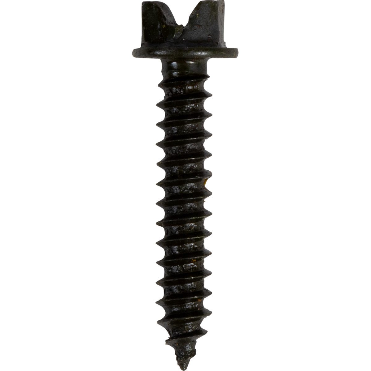 Gold Screws #1250-0304 - Ice Screws - Pro Gold - 1" - 1000 Pack