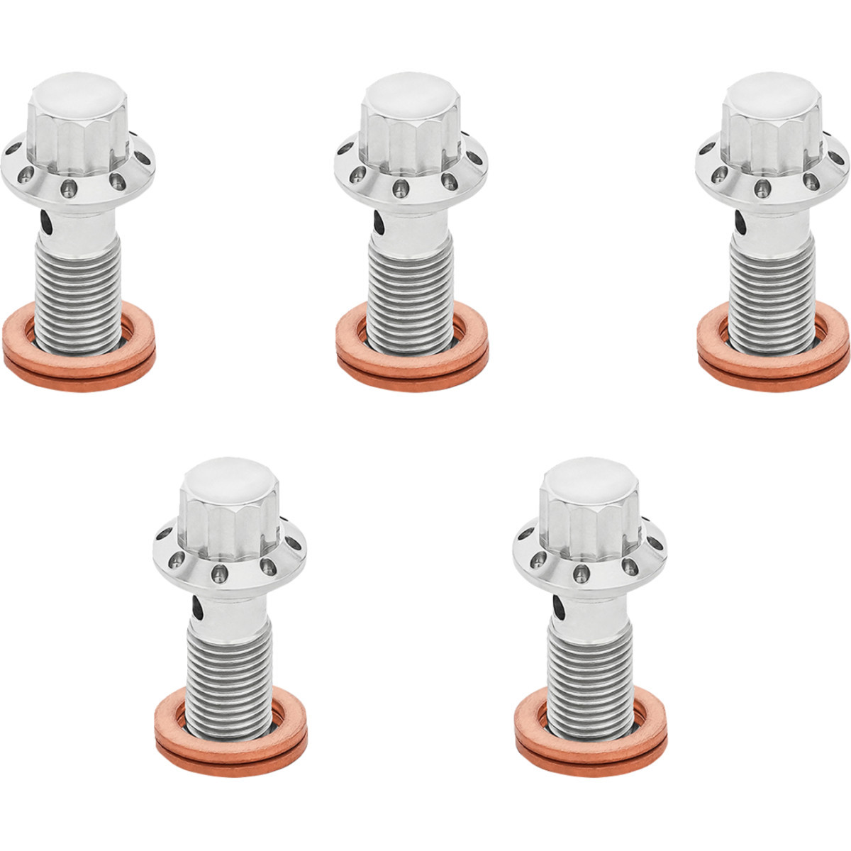 Arlen Ness #300-857 - Banjo Bolt 5-Pack - M10x1.0 - Polished