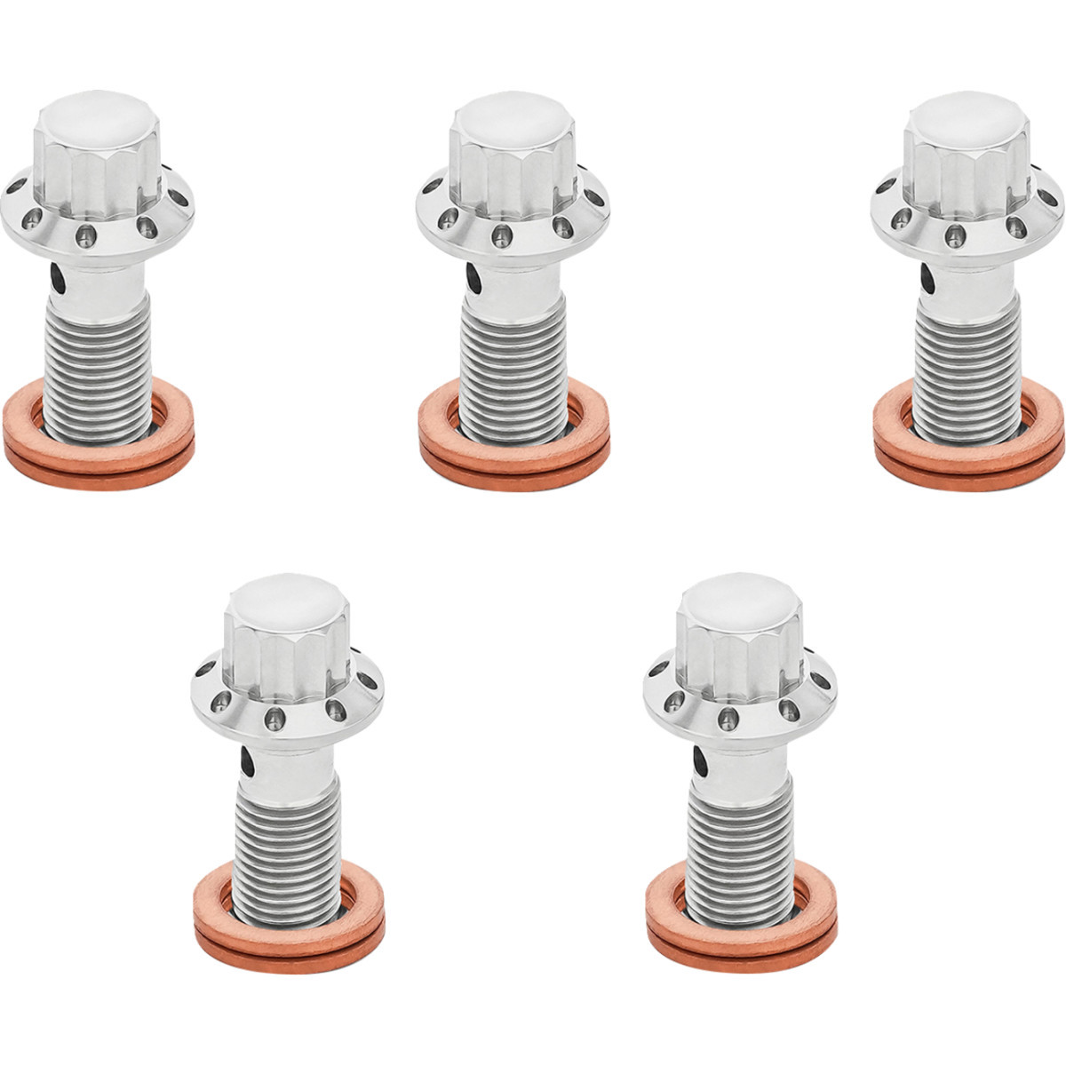 Arlen Ness #300-860 - Banjo Bolt 5-Pack - M10x1.25 - Polished