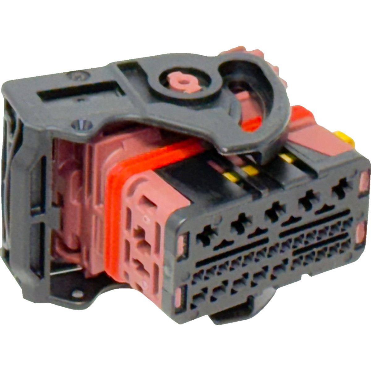 Namz #NHD-69201932 - Connector Kit w/ Terminals - BCM - FLHX/FLTR