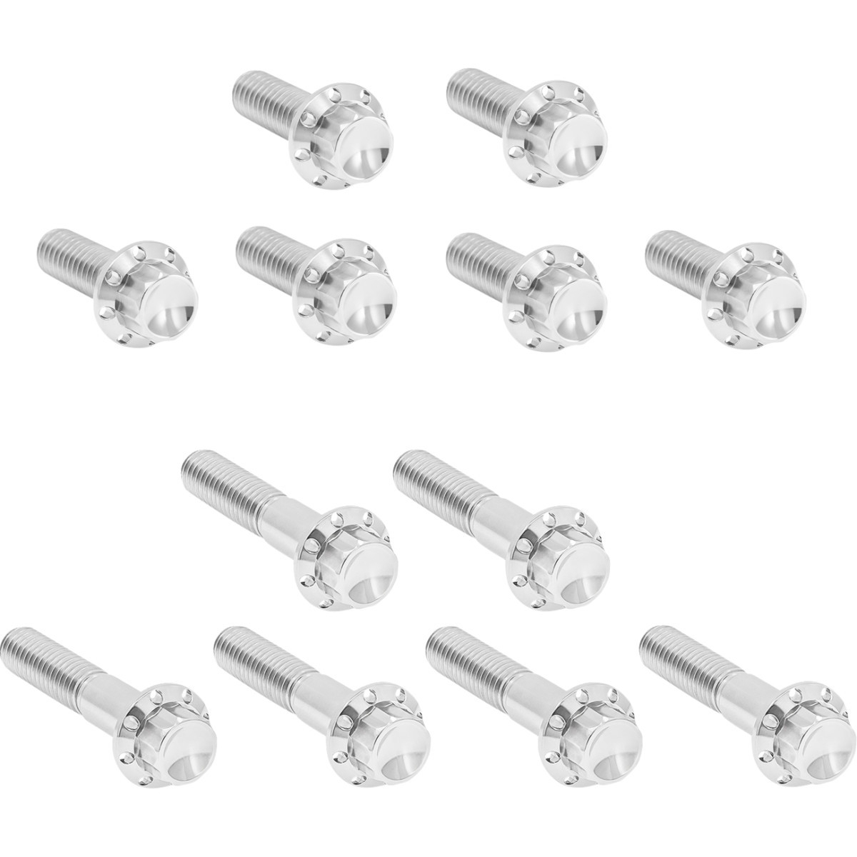 Arlen Ness #300-992 - Bolt Kit - Rocker Box - 12-Point - Titanium - Polished