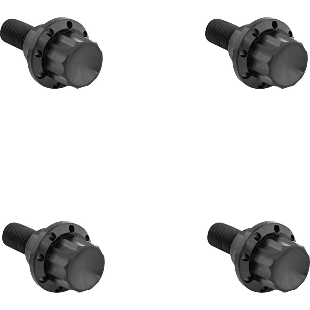 Arlen Ness #300-810 - Bolt Kit - Windshield - 12-Point - Titanium - Black