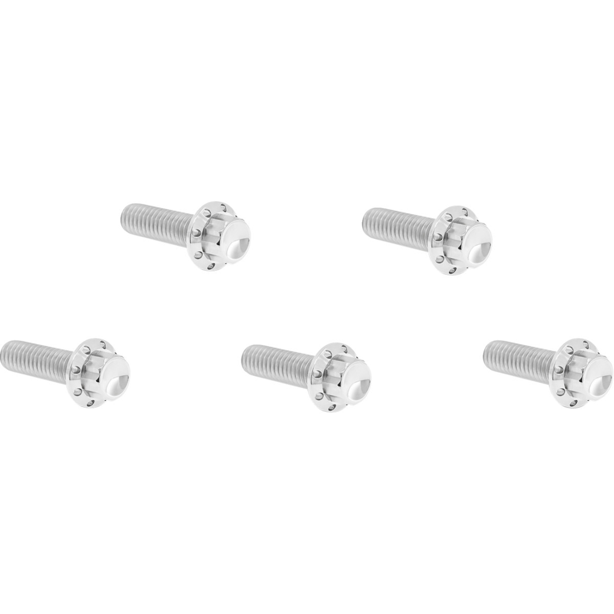 Arlen Ness #300-923 - Bolt Kit - Derby Cover - 12-Point - Titanium - Polished