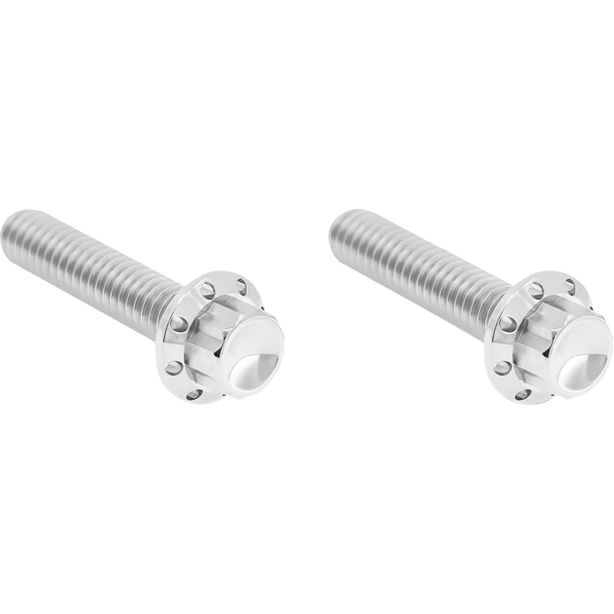 Arlen Ness #300-706 - Bolt Kit - Hydraulic Clutch - Titanium - 12-Point - M8/Twin Cam - Polished