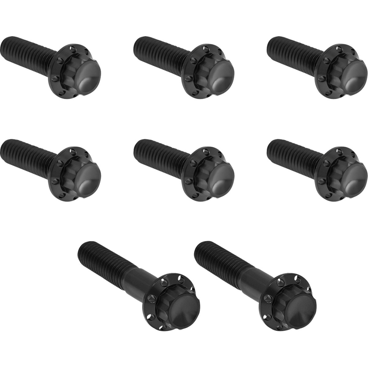 Arlen Ness #300-713 - Bolt Kit - Trap Door - Titanium - 12-Point - Twin Cam/6-Speed - Black
