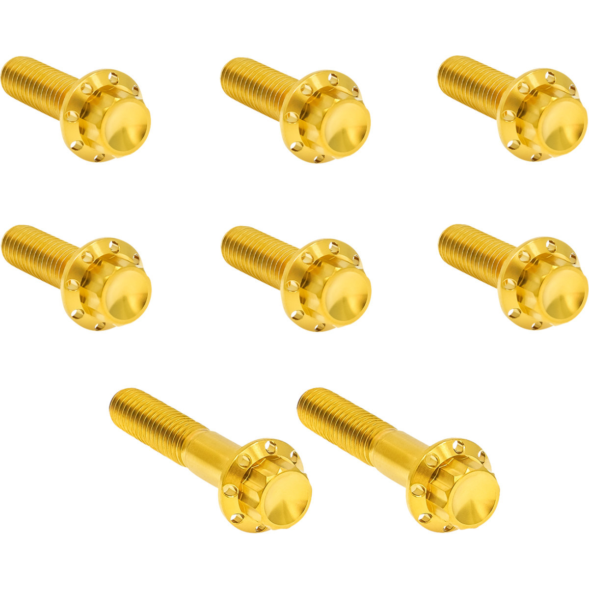 Arlen Ness #300-714 - Bolt Kit - Trap Door - Titanium - 12-Point - Twin Cam/6-Speed - Gold