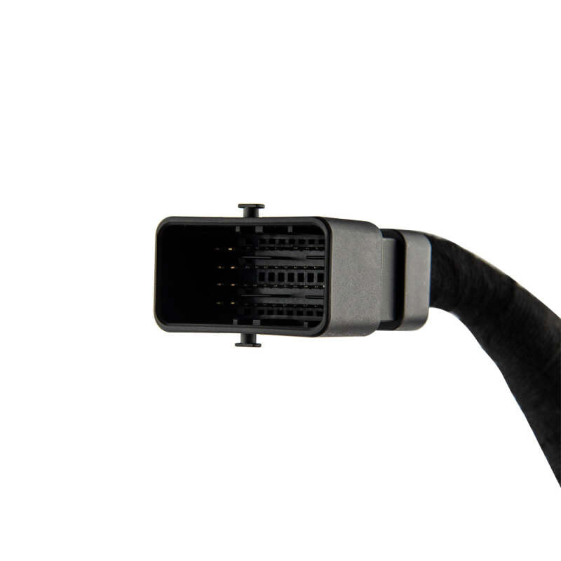 DS18 RY-HARNESS.HD DS18 Plug and Play Harness For Harley-Davidson For DS18 Amp Connection w/ Factory Radio