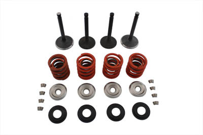 Sifton - Nitrate Valve and Spring Kit