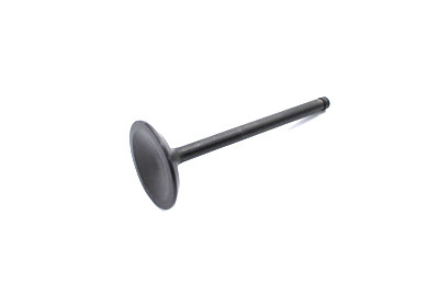 Sifton - 1200cc Nitrate Steel Intake Valve