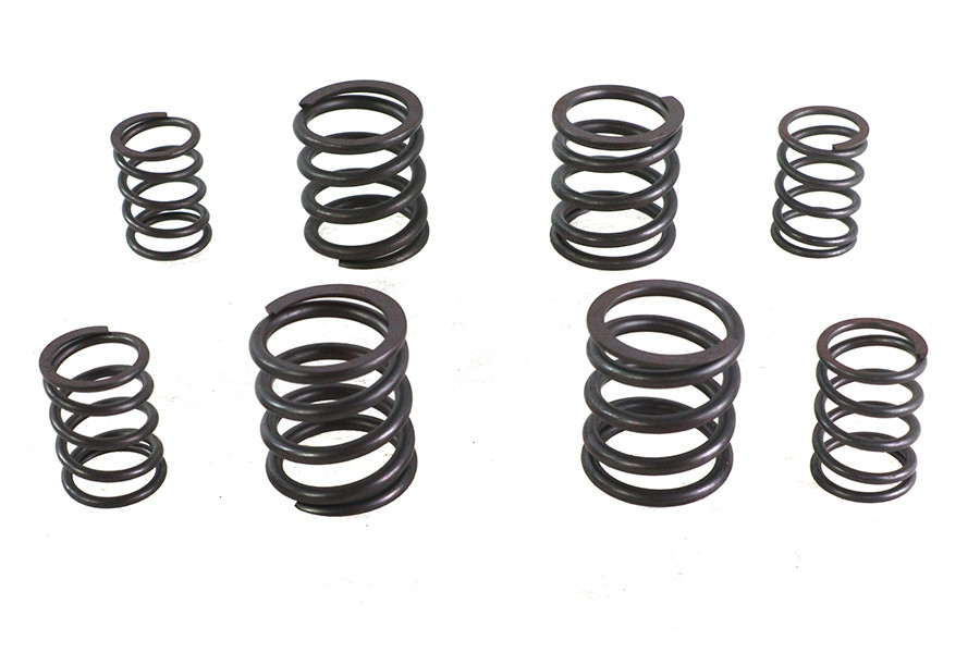V-Twin - Valve Spring Set