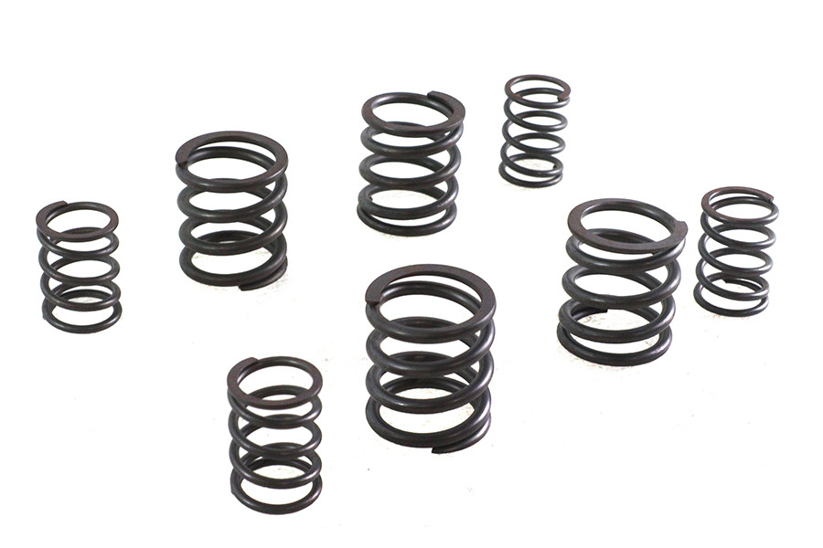 V-Twin - Valve Spring Set