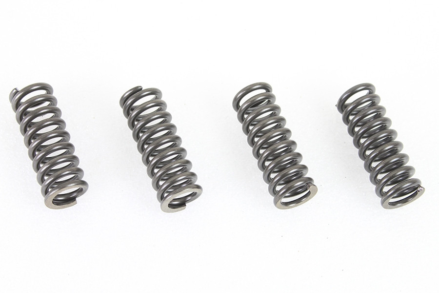 V-Twin - 45 inch WR Valve Spring Set