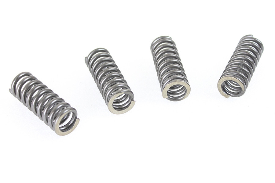 V-Twin - 45 inch WR Valve Spring Set