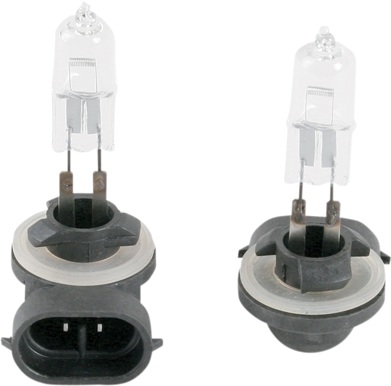 Bulb - PJ13 Clear - 50 W - Pair