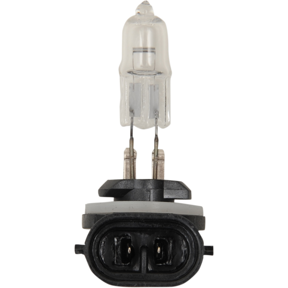 Peak Lighting #886-BPP - Halogen Bulb - 886 - 50W