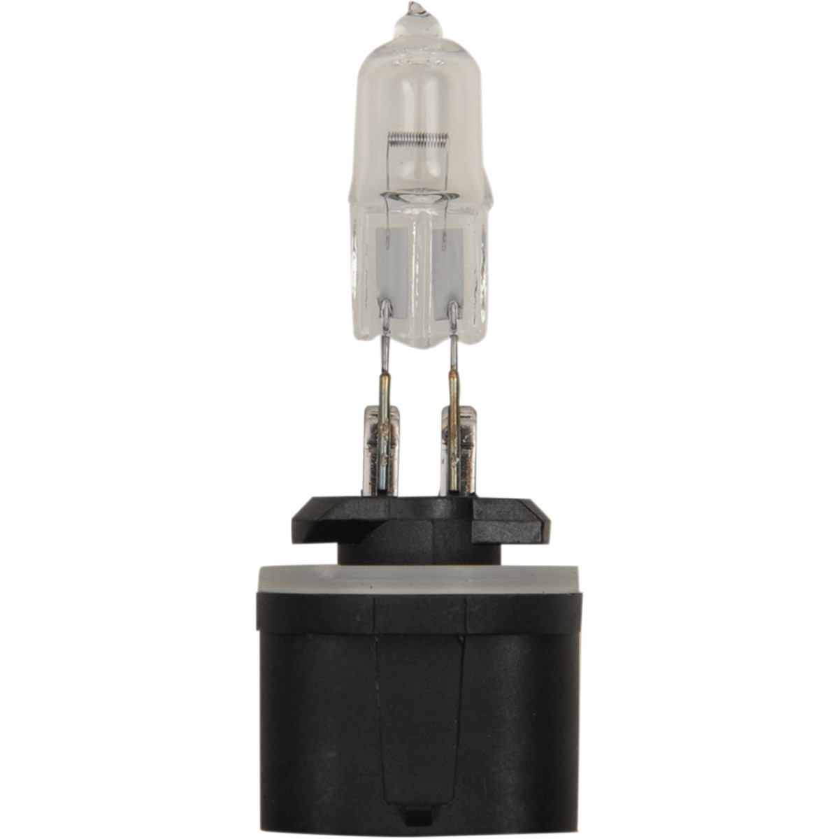 Peak Lighting #885-BPP - Halogen Bulb - 885 - 50W