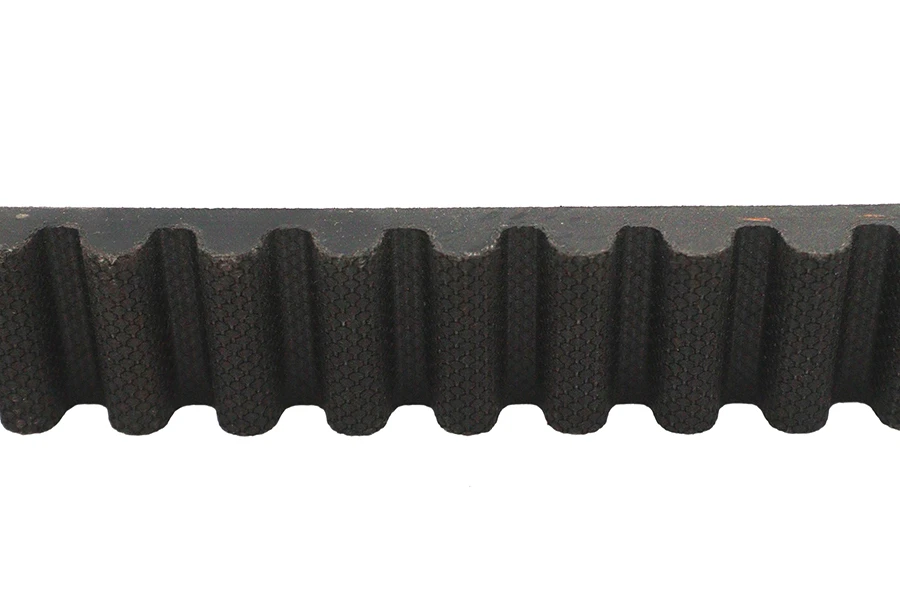 Belt Drive LTD. #BDL PA-133-118 - 1-1/8 inch Carlisle Panther Rear Belt 133 Tooth