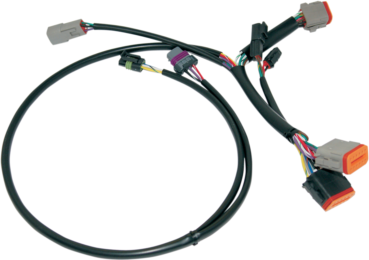 Ignition Wiring Harness - Harley Davidson