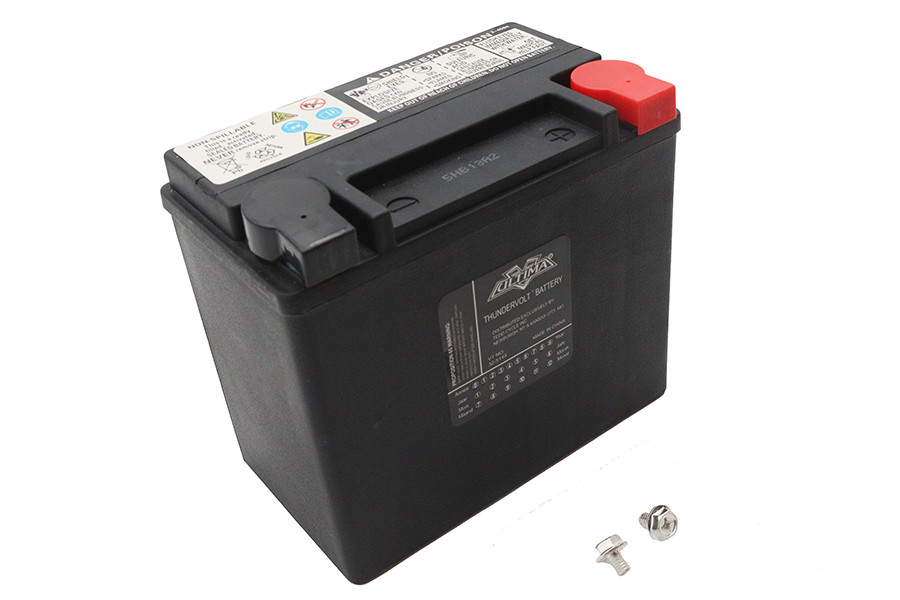 Ultima #1-44 - Ultima 12 Volt AGM Thundervolt Battery