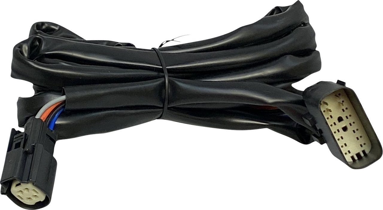 Harness - Rear Speakers - Tour-Pak