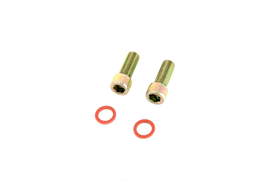 Colony - Damper Fork Tube Screw and Washer Kit Zinc Plated