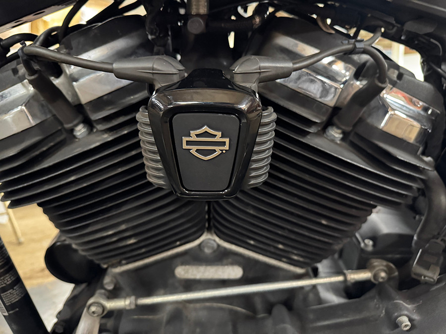 OE #57300418 - OE M8 Logo Coil Cover