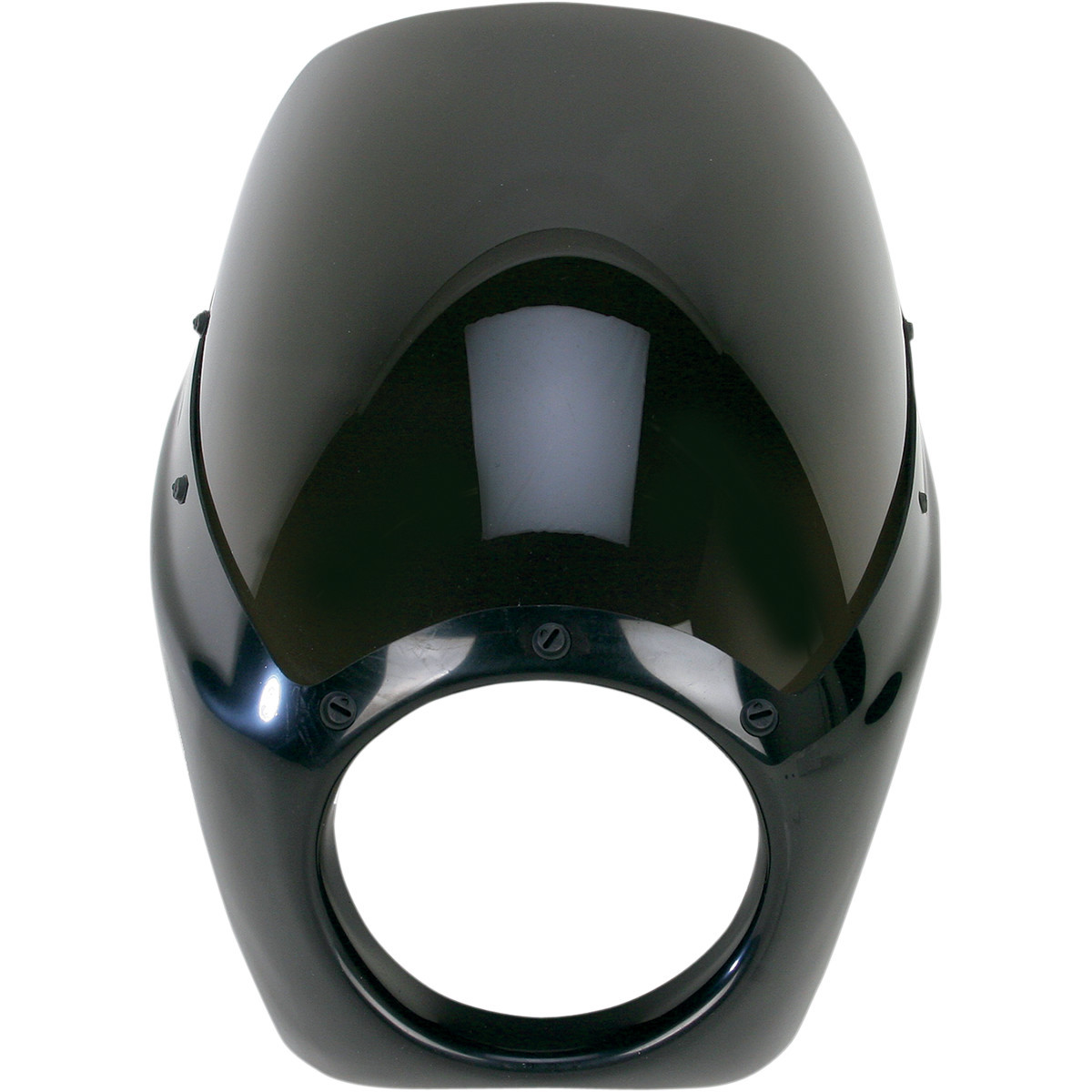 Arlen Ness #06-041 - Fairing - Smoke Shield