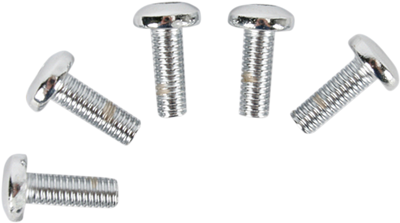 Rotor Bolt Set - Cast Chrome