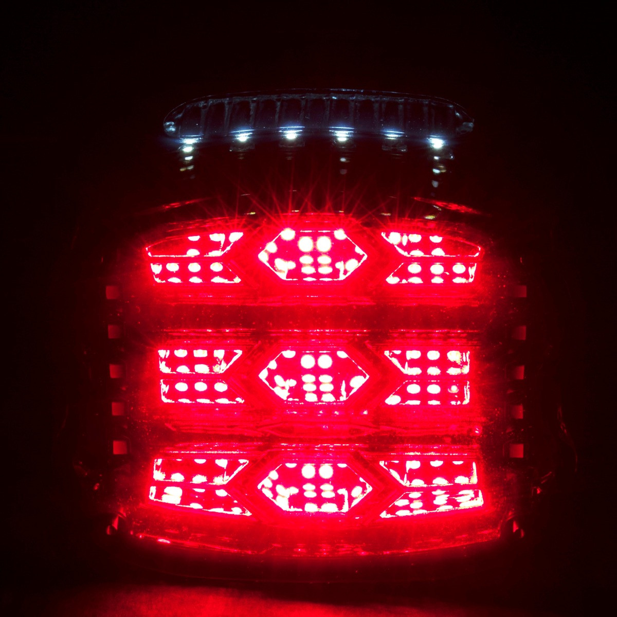 Hogworks Hogworkz® Luminz Led Taillight w/ Plate Light & Signals for Harley-davidson® Motorcycles