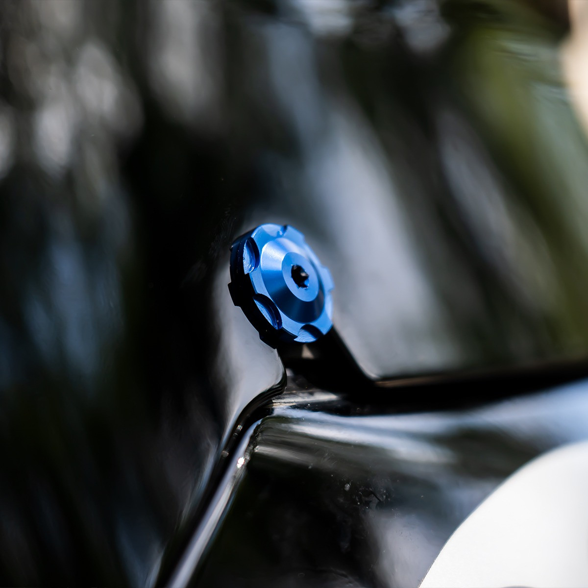 Hogworks Windshield Bolts for Harley® Low Rider ST '22-'25 | Blue