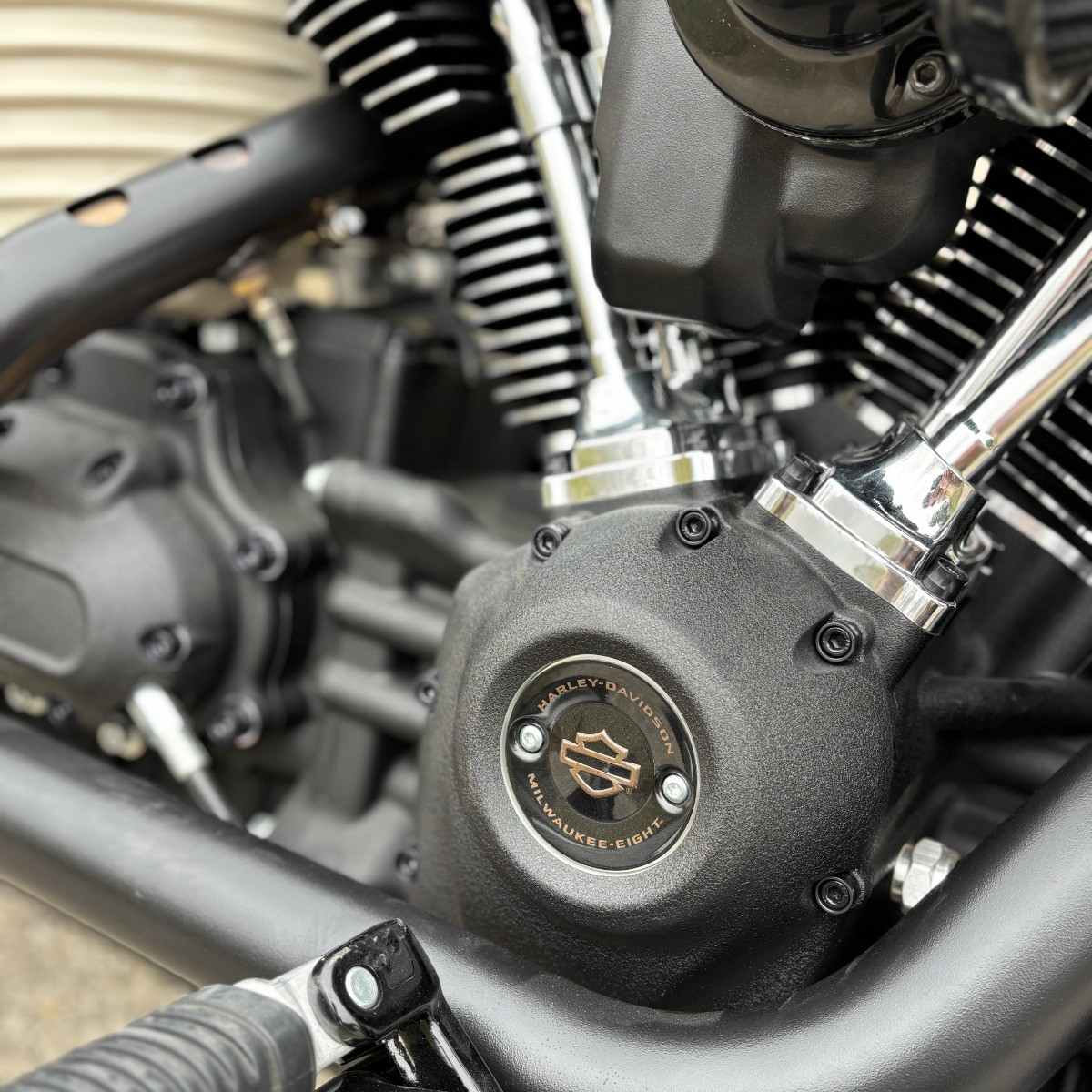 Hogworks Hogworkz® Full Engine Bolt Kit for M8 Harley® Touring & Softail | Black