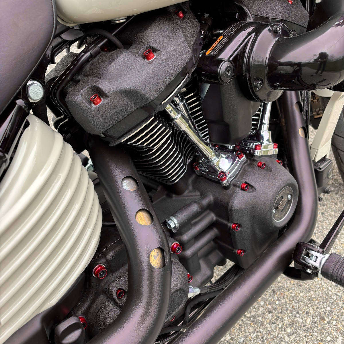 Hogworks Hogworkz® Full Engine Bolt Kit for M8 Harley® Touring & Softail | Red